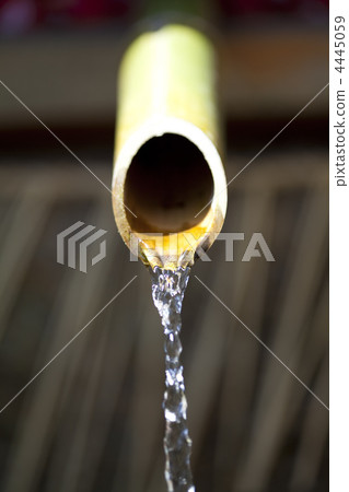 Tadanoyo Mayumi of Shi Hatsuda Shrine 4445059