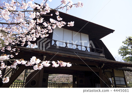 Bunka-no-ko at Shosei-en Garden 4445081