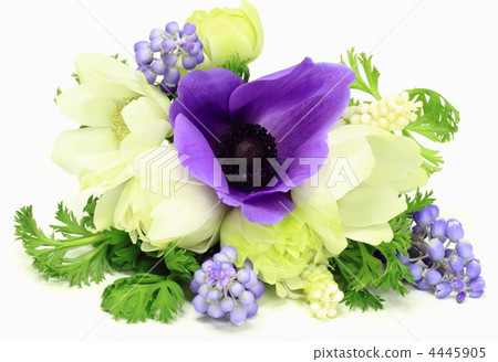 春天的花束 4445905