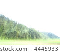 forest, wood, mountain 4445933