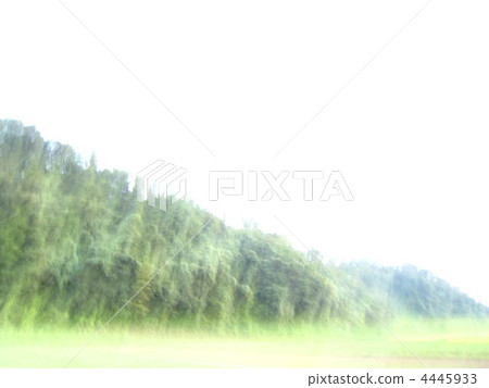 forest, wood, mountain 4445933