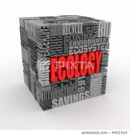 What is a Ecology What is a Ecology 4452324