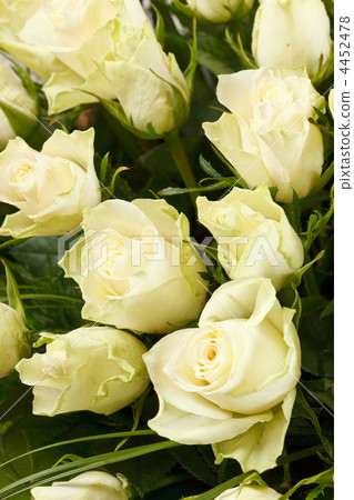 white roses white roses 4452478