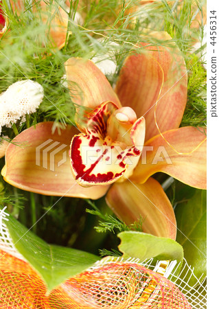 bouquet of colorful flowers 4456314