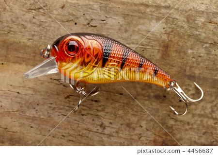 fishing lure fishing lure 4456687