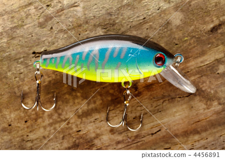 fishing lure 4456891
