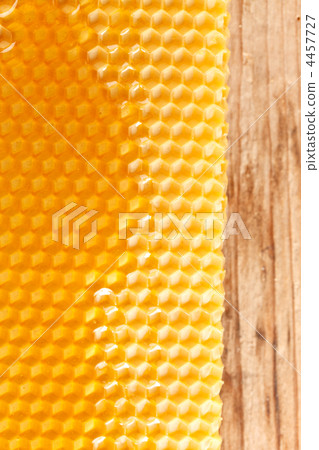 fresh honey in comb fresh honey in comb 4457727