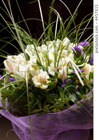 beautiful flowers 4457815