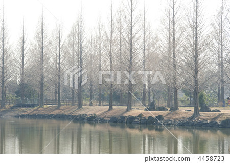 埼玉Kazu Honasaki水上公園 埼玉Kazu Honasaki水上公園 4458723
