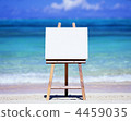Canvas on the beach 4459035