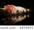 點燈 夜景 燈海 4459955