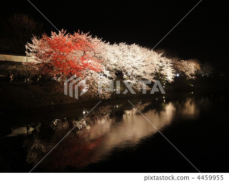 點燈 夜景 燈海 4459955