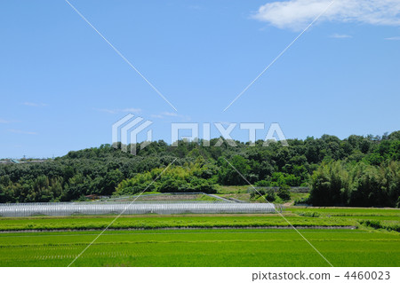 鄉村景觀 鄉村景觀 4460023
