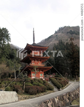 早春的Chogokuji Temple of Mogane（重要的文化財產） 4460551