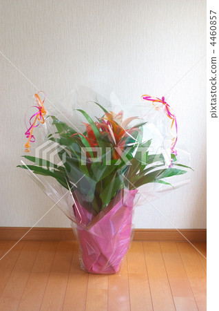 Potted plants of germanya 4460857