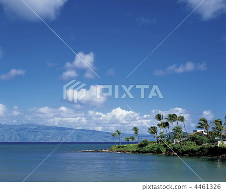 Coast of Maui 4461326