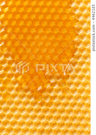 fresh honey in comb fresh honey in comb 4462185