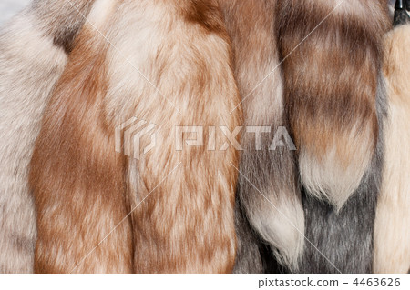 Polar fox fur tails closeup 4463626
