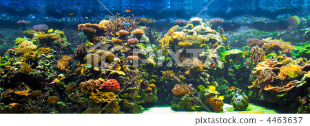 big aquarium panorama 4463637