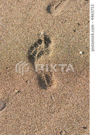 Sand with footprint macro background Sand with footprint macro background 4463753