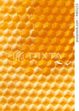 fresh honey in comb fresh honey in comb 4465213