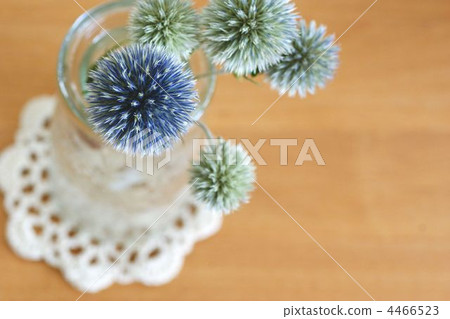 乾花 乾花 4466523