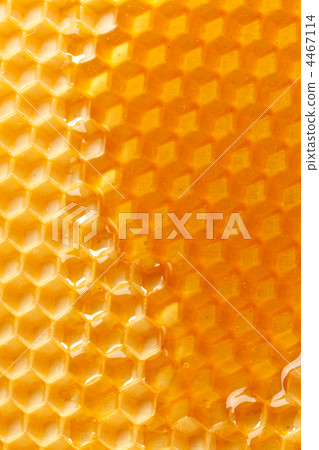 fresh honey in comb 4467114