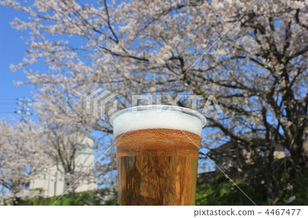 賞花！櫻花下的啤酒！ 4467477
