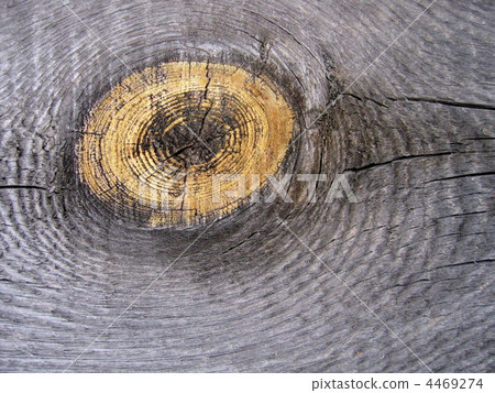 old wood texture 4469274