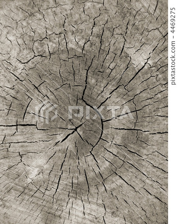 old wood texture old wood texture 4469275