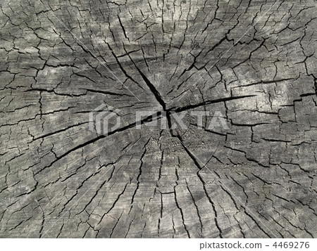 old wood texture old wood texture 4469276