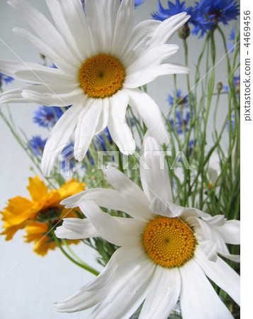 bouquet of flowers 4469456
