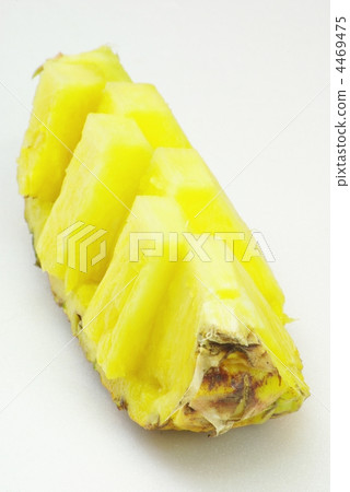 菠蘿 菠蘿 4469475