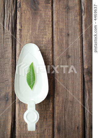 漂浮在琺瑯托盤上的發財樹葉花瓶 4469637