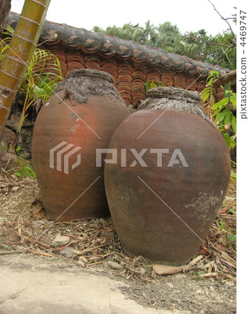 Okinawa's cape 4469747