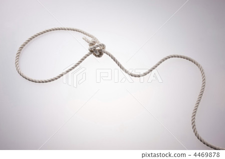 Lasso Lasso 4469878
