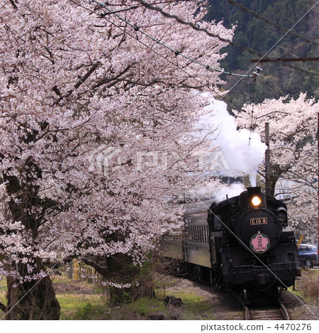 春天Oigawa Tetsudo 4470276