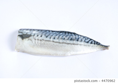 鹽鯖魚鹽 鹽鯖魚鹽 4470962