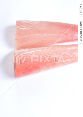賓果金槍魚塊 賓果金槍魚塊 4470964