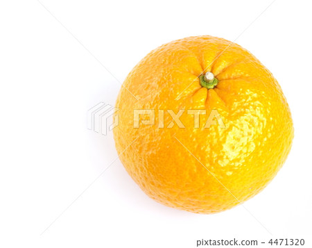 Amanatsu mikan Amanatsu mikan 4471320