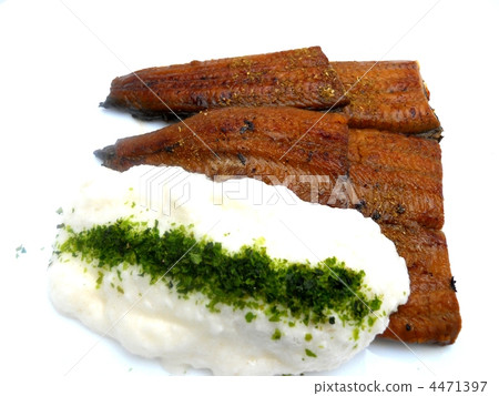 eel eel 4471397