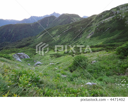 mt. mitsumatarengedake, sugoroku-dake, mount sugoroku 4471402