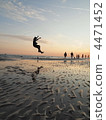 Fall 2011 jumping hump jump 4471452