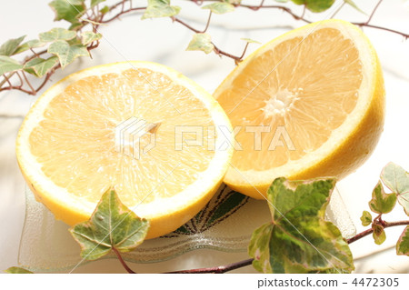 Cut grapefruit 4472305