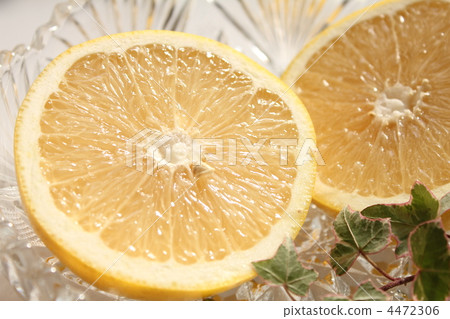Cut grapefruit Cut grapefruit 4472306