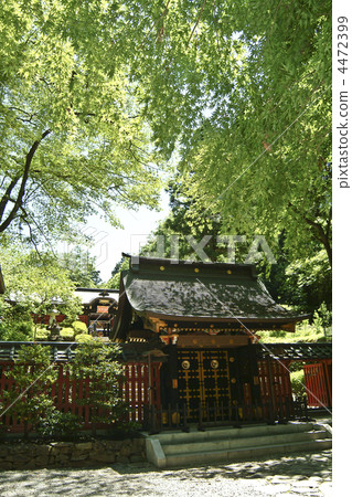 Fresh green Zuiho Fresh green Zuiho 4472399