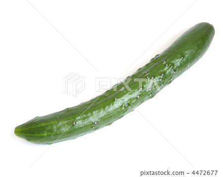 cucumber cucumber 4472677