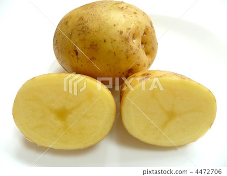 新土豆 4472706