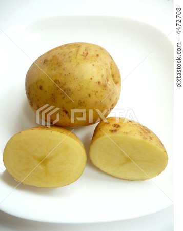 新土豆 4472708
