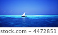 Blue sea and Doni 4472851